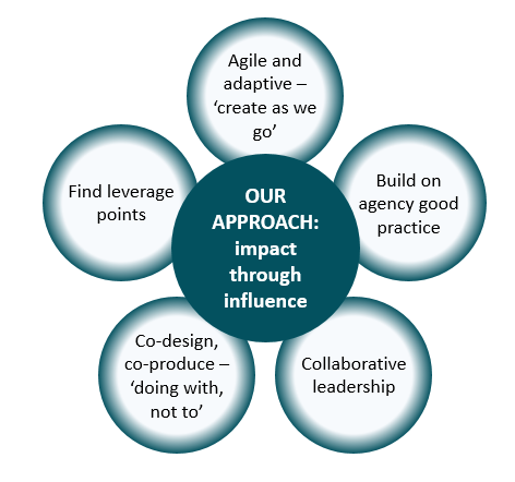 The approach of the policy project team