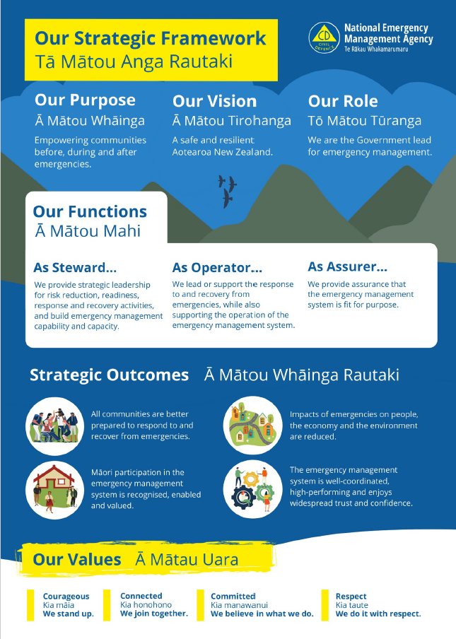 Our strategic framework (NEMA)
